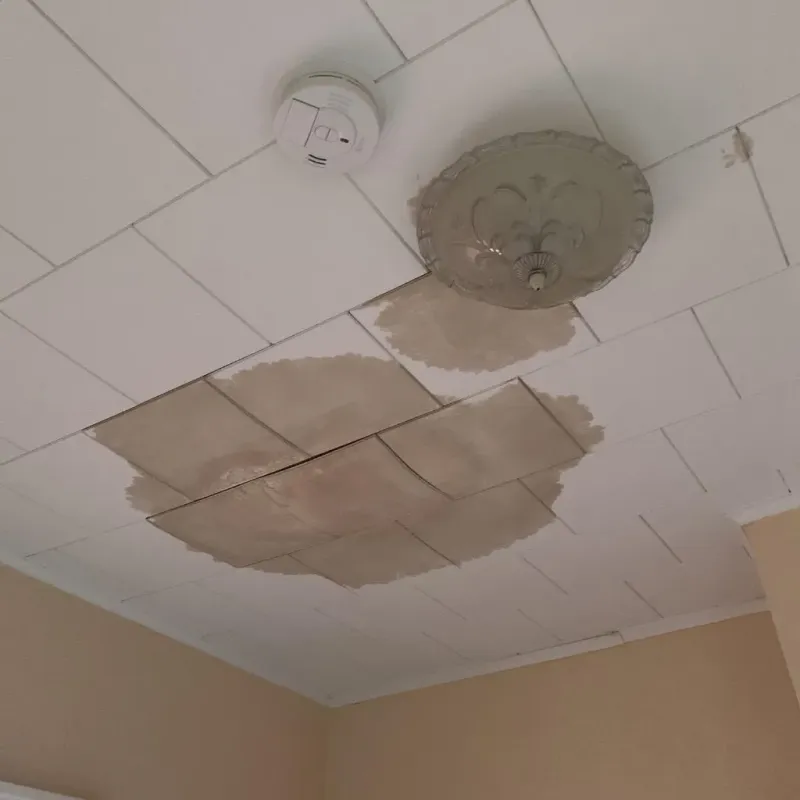Ceiling Water Damage Repair in Moundville, AL